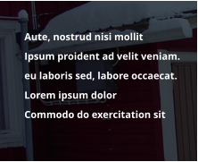 	Aute, nostrud nisi mollit   	Ipsum proident ad velit veniam.  	eu laboris sed, labore occaecat. 	Lorem ipsum dolor  	Commodo do exercitation sit